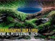 Italian Aquascaping Crew e Baqu: debutto ufficiale al PetsFestival