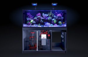 Red Sea lancia la nuova serie di acquari All In One Reefer G3