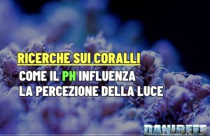 Con pH basso e luce forte i coralli non crescono e soffrono pH coralli