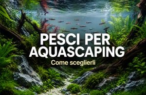 Pesci da aquascaping: 12 specie ideali per Nature Aquarium e nano vasche