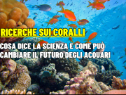 Coralli e scienza: 3 studi che cambiano luce pH e crescita in acquario
