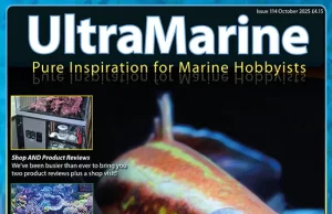 UltraMarine 114: reef iconici, nuove tendenze e idee per l’acquario