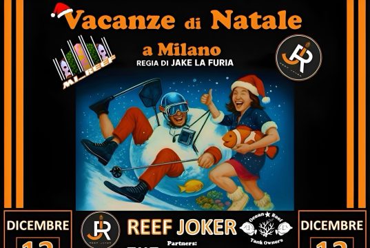 Vacanze di Natale a Milano: l’evento da Reef Joker sabato 13