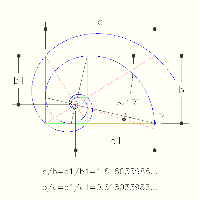 Schema del rettangolo aureo e della spirale utilizzata nella composizione visiva