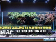Da acquario casalingo ad acquario d’autore: verso l’aquascaping acquario d’autore