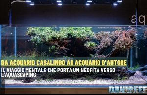 Da acquario casalingo ad acquario d’autore: verso l’aquascaping acquario d’autore