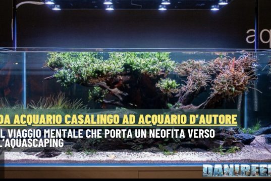 Da acquario casalingo ad acquario d’autore: verso l’aquascaping acquario d’autore