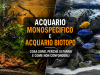 Acquario monospecifico o biotopo: differenze, vantaggi ed esempi