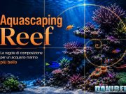 Aquascaping reef: le regole per un acquario marino più bello