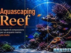 Aquascaping reef: le regole per un acquario marino più bello