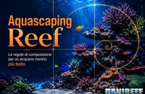 Aquascaping reef: le regole per un acquario marino più bello