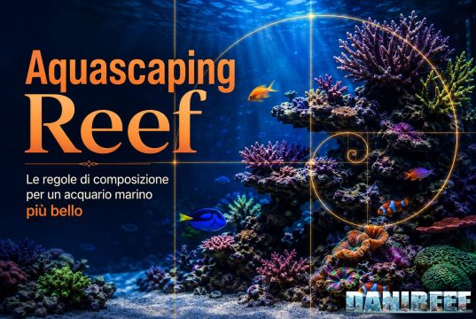 Aquascaping reef: le regole per un acquario marino più bello