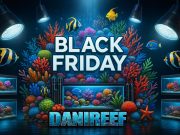 Black Friday 2025 acquario: tutte le offerte LIVE nei negozi e online