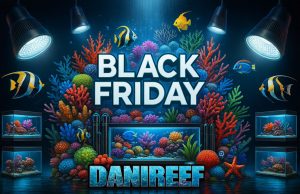Black Friday 2025 acquario: tutte le offerte LIVE nei negozi e online
