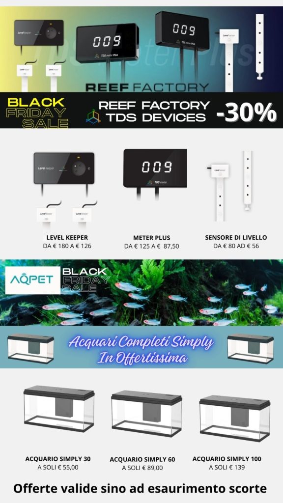 Offerte Coralbay Black Friday 2025