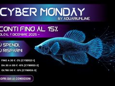Cyber Monday AquariumLine 2025: sconti fino al 15% solo domani