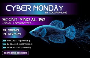 Cyber Monday AquariumLine 2025: sconti fino al 15% solo domani