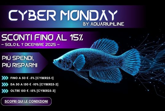 Cyber Monday AquariumLine 2025: sconti fino al 15% solo domani