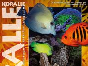 Koralle 155: alimentazione e strategie nutritive in acquario marino