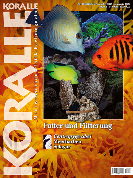 Koralle 155: alimentazione e strategie nutritive in acquario marino