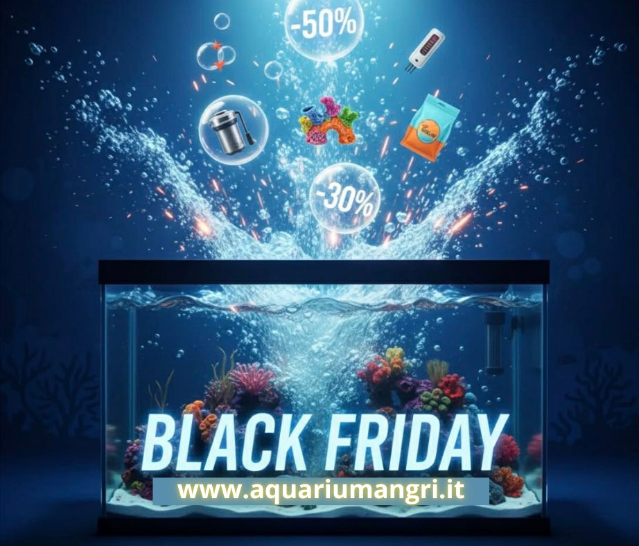 Offerte AquariumAngri Black Friday 2025