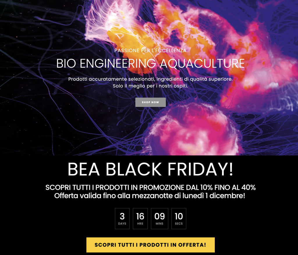 Offerte BEA Black Friday 2025