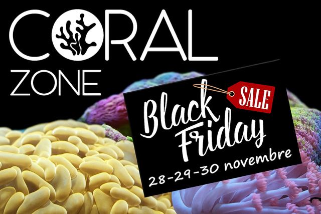 Offerte Coral Zone Black Friday 2025