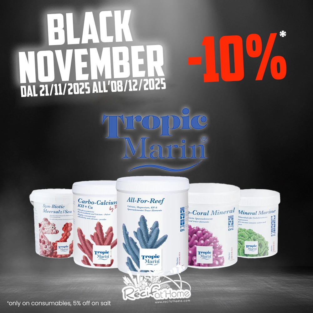 Offerte RecifAtHome Black Friday 2025