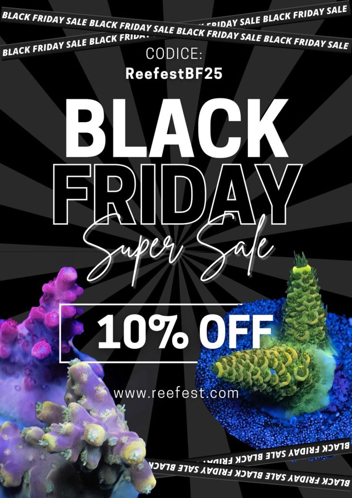 Offerte Reefest Black Friday 2025