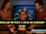 Regalare un pesce a chi ha l’acquario? Un’idea (spesso) sbagliata? regalare un pesce