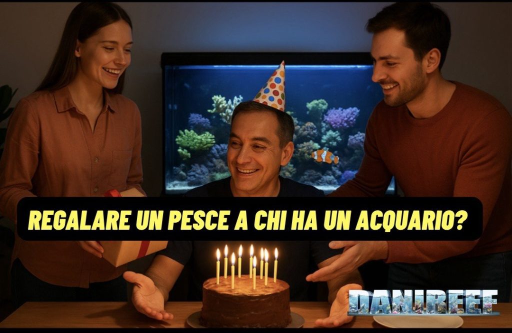 regalare un pesce