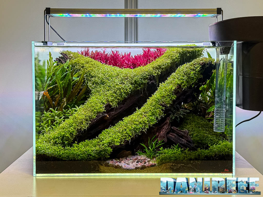 Benjamin Stofferus - Golden Horizon