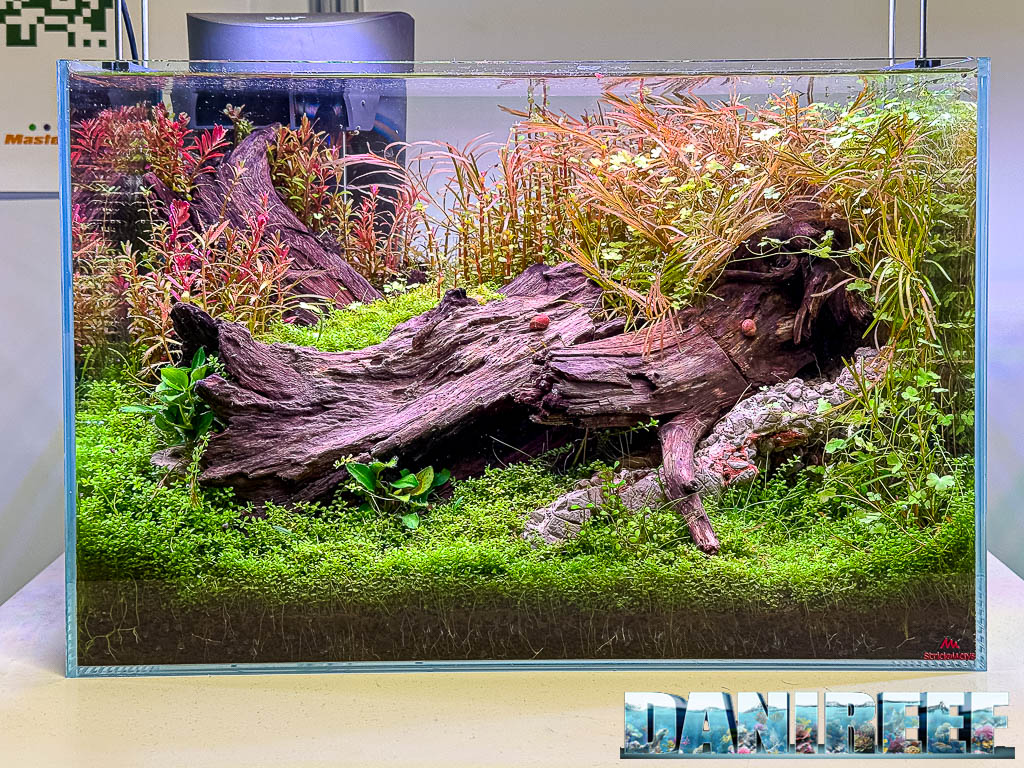 Bruno Collett - Every Story Has a New Beginning