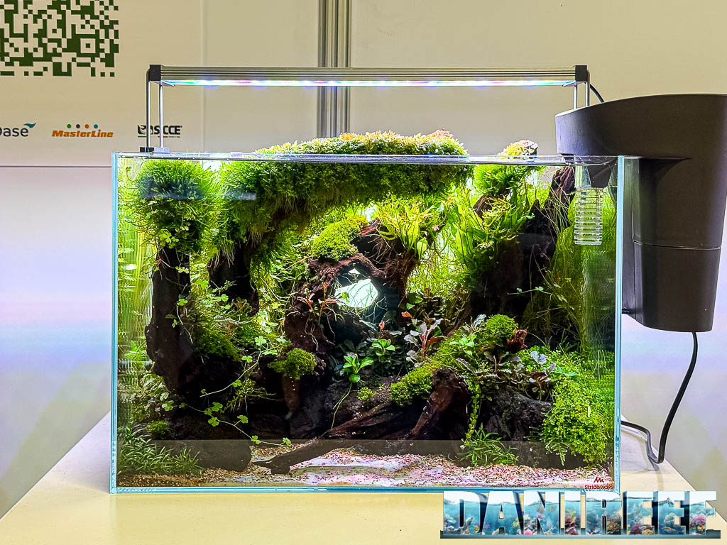 Rudolph Falk - Gateway to Nature