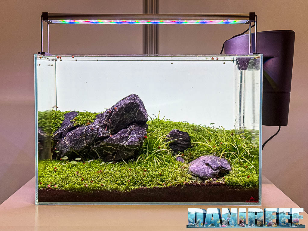 Frank Vugts - Tiny Meadow