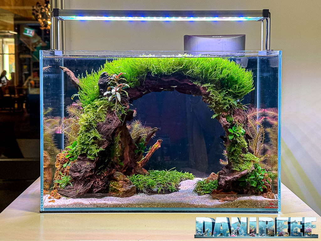 Jessica Van De Water - The Gate of Lothlórien