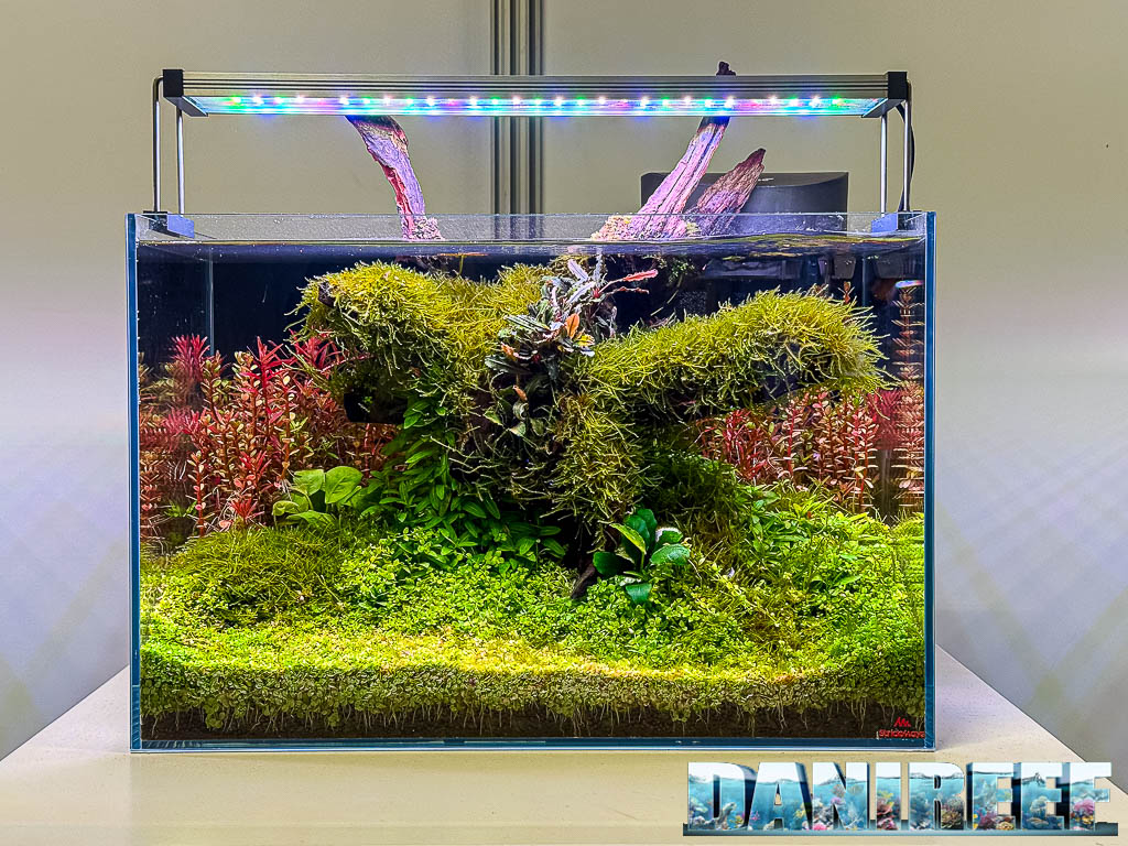 Johnny Kooijman - Ancient Roots