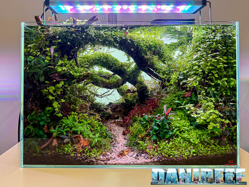 Jonathan Gevaert - Beyond The Shadow