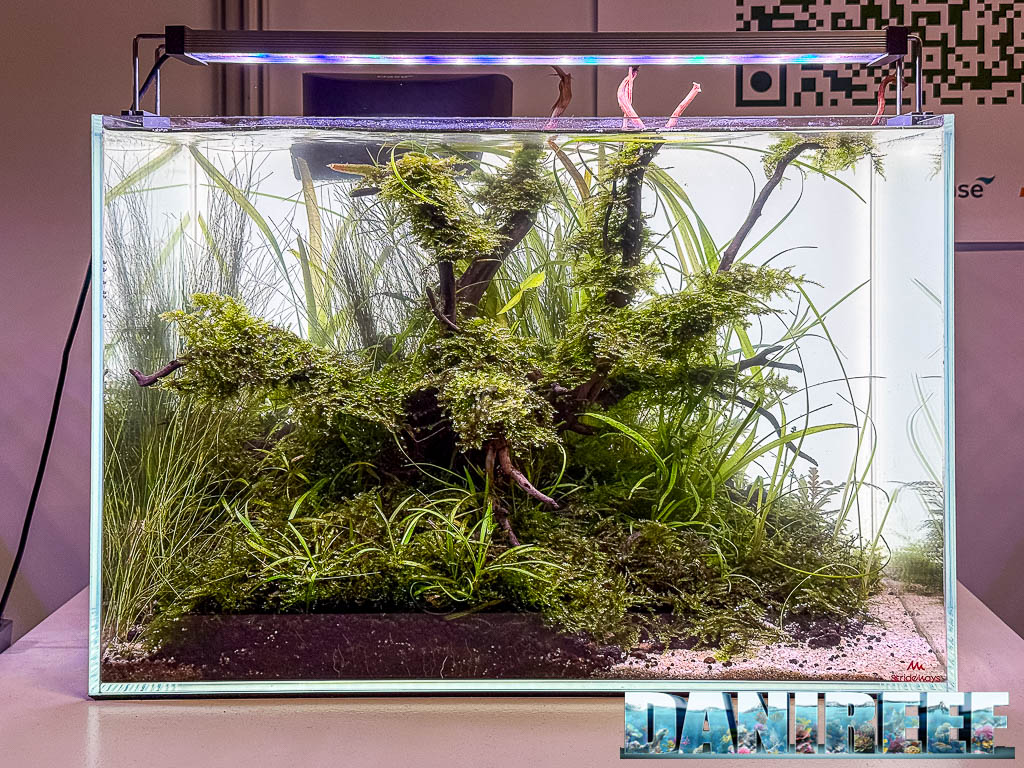 Julien Van Den Bogaard - Sanctuary