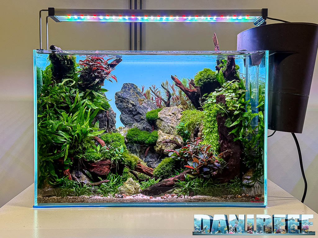 Milele di Marcel Wehner