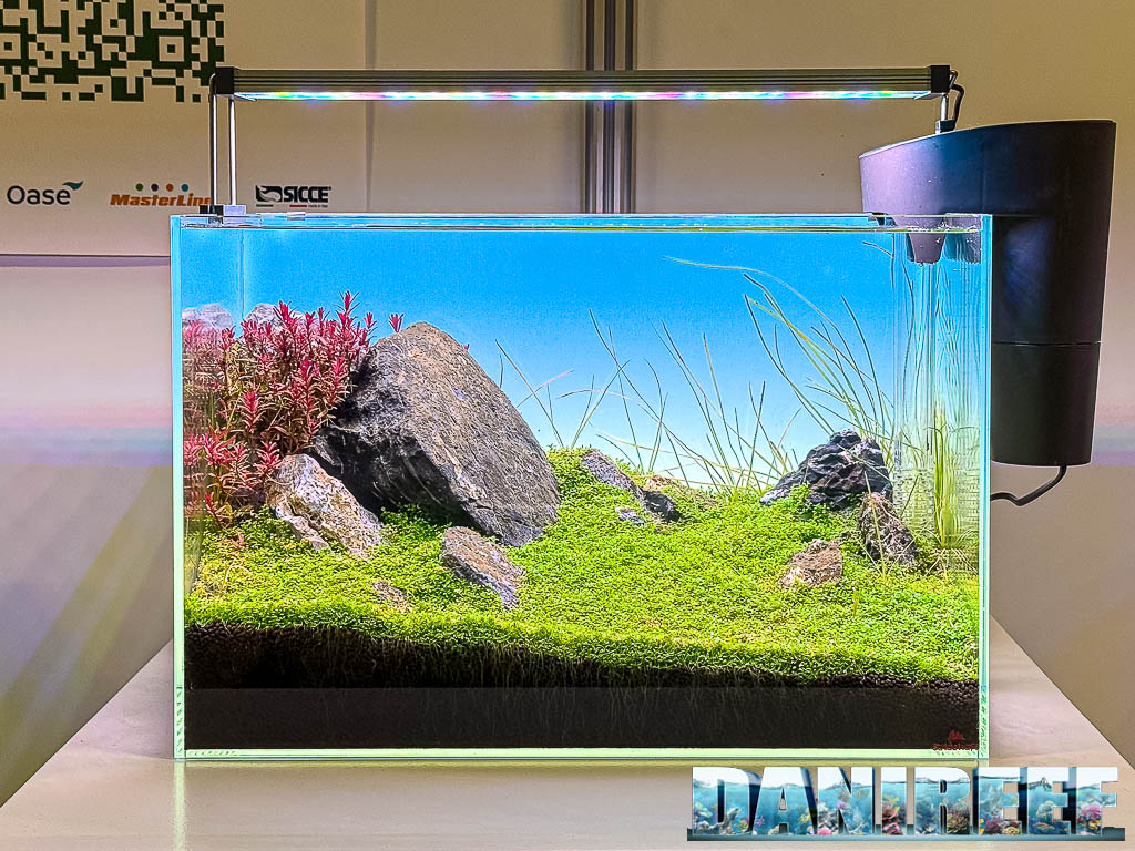 Mark Verhagen - Between Mistakes