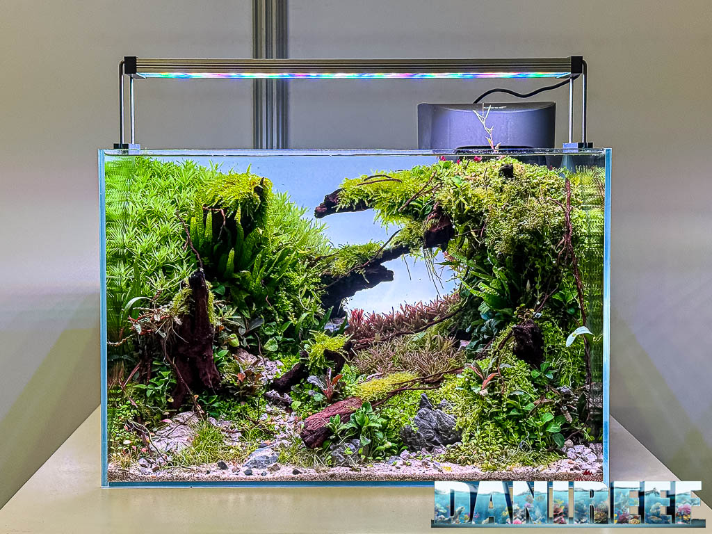 Michiel Van Den Berg - Ignis Oculus