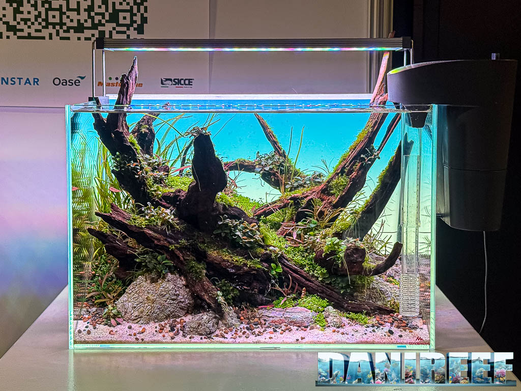 Olivia Van Noort - Nature's Reign