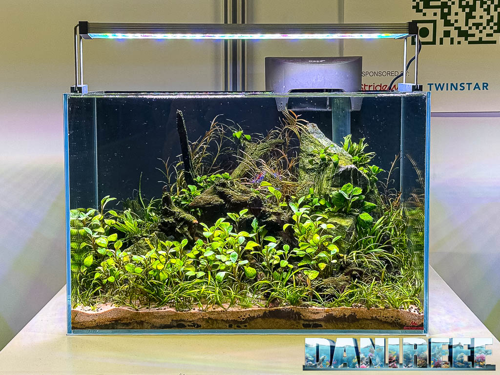 Pascal Wolterman - Ki To Ishi