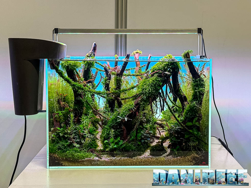 Rafal Tokarski - The Whispering Paths