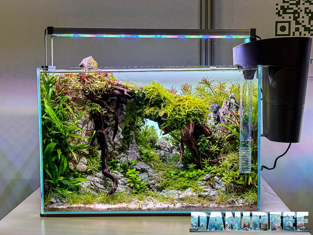 Rastjo Várady - Gate of Fallen Tree