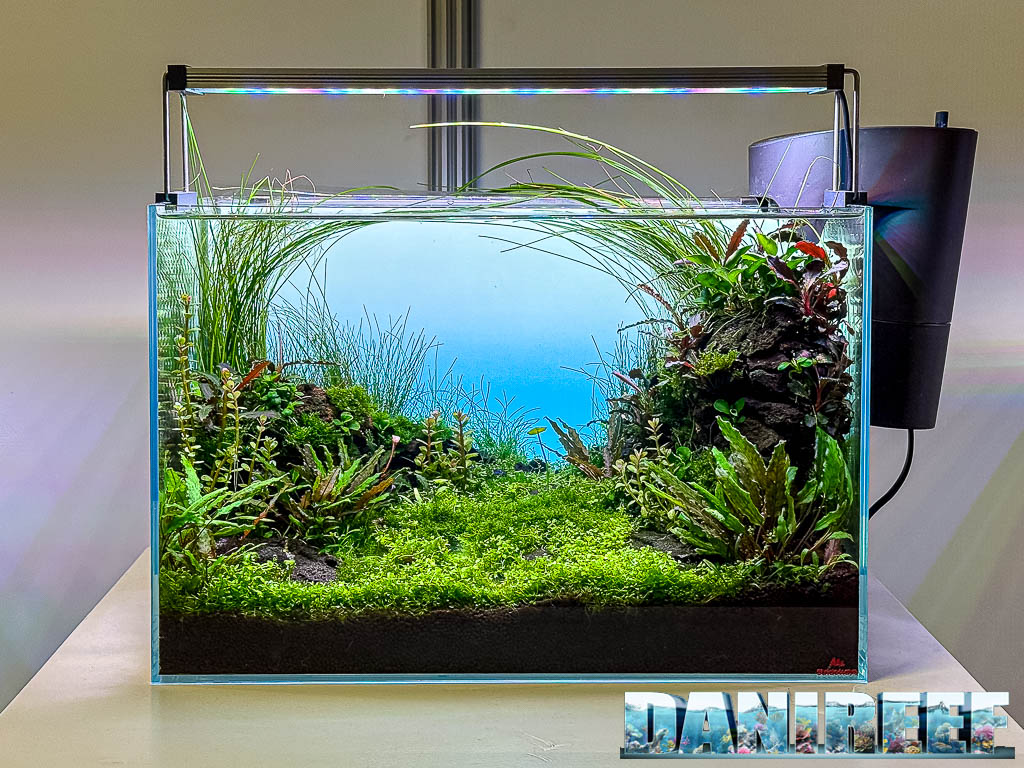 Wild Green Valley di Sebastian Van Der Laan