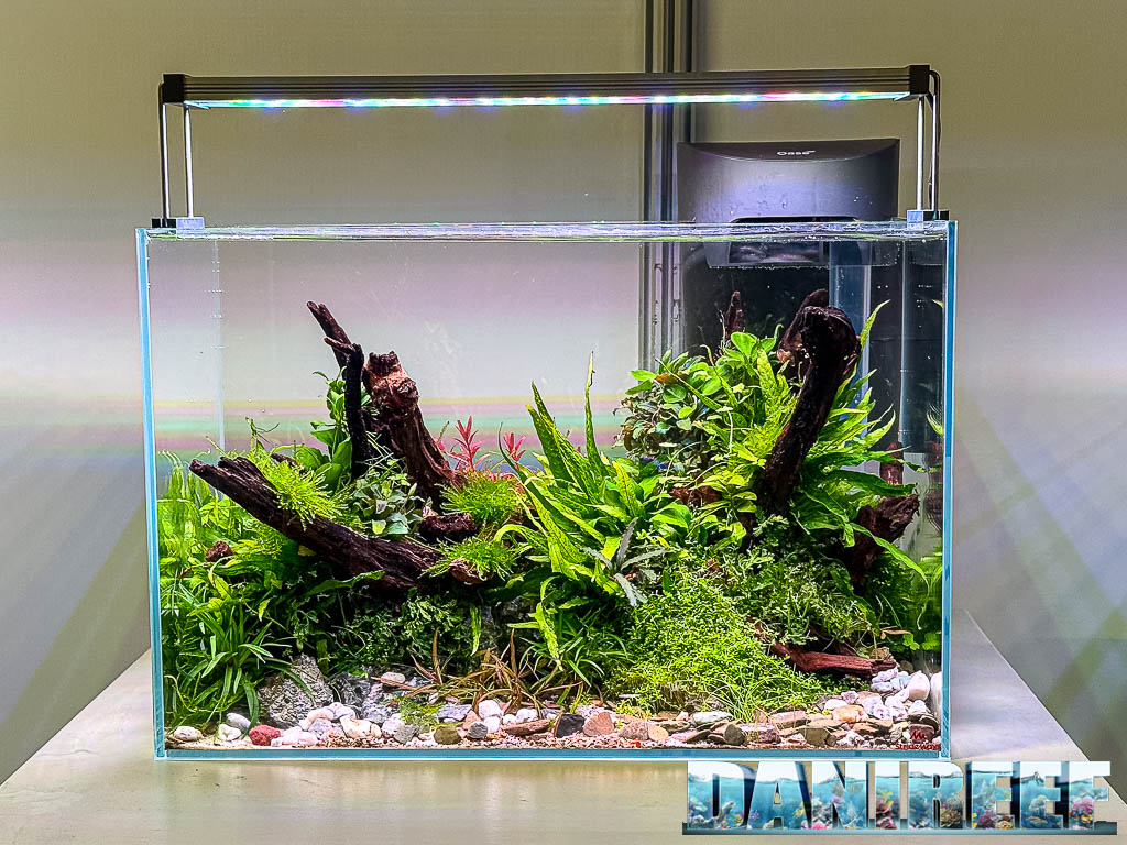 Sylvester Van Leeuwen - The Green Shire