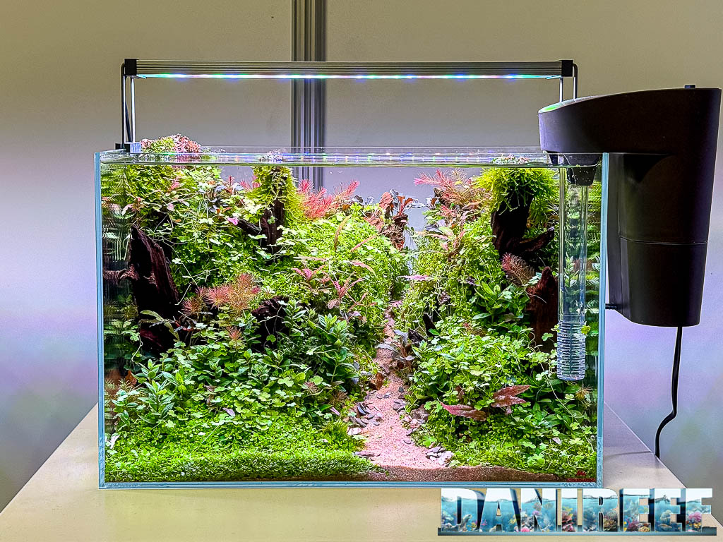 Tycho Huijbers - Sunken Forest