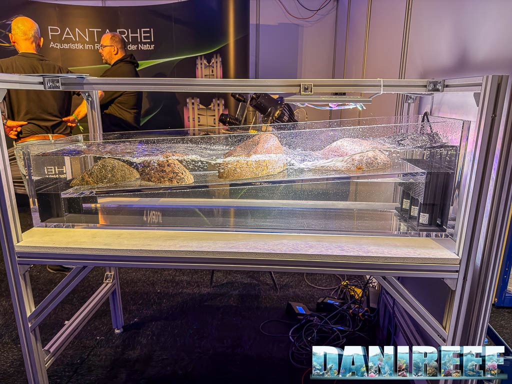 Acquario fiume Panta Rhei a Vivarium 2025 con forte flusso d’acqua e layout naturale
